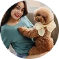 PETPHOTOVN